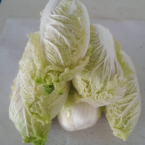 娃娃菜
